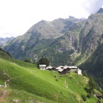 tourhub | UTracks | Monte Rosa Alpine Hike - 6 days 