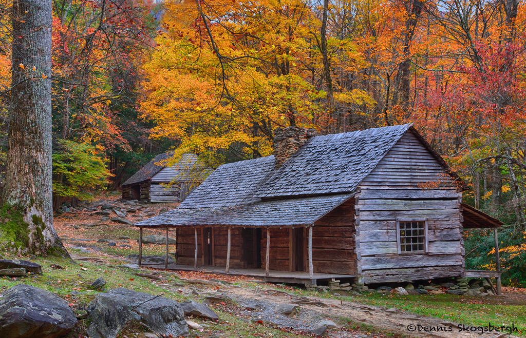 1-Day Great Smoky Mountains Fall Tour from Pigeon Forge