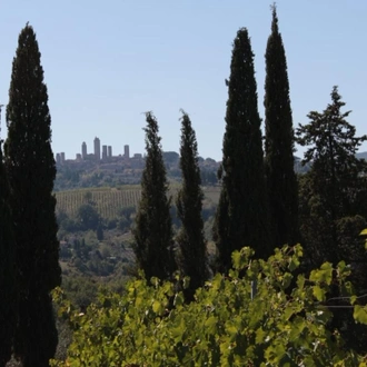 tourhub | Angel Wine Experiences | The Best Wines of Tuscany in 5 Exclusive Days from Florence 