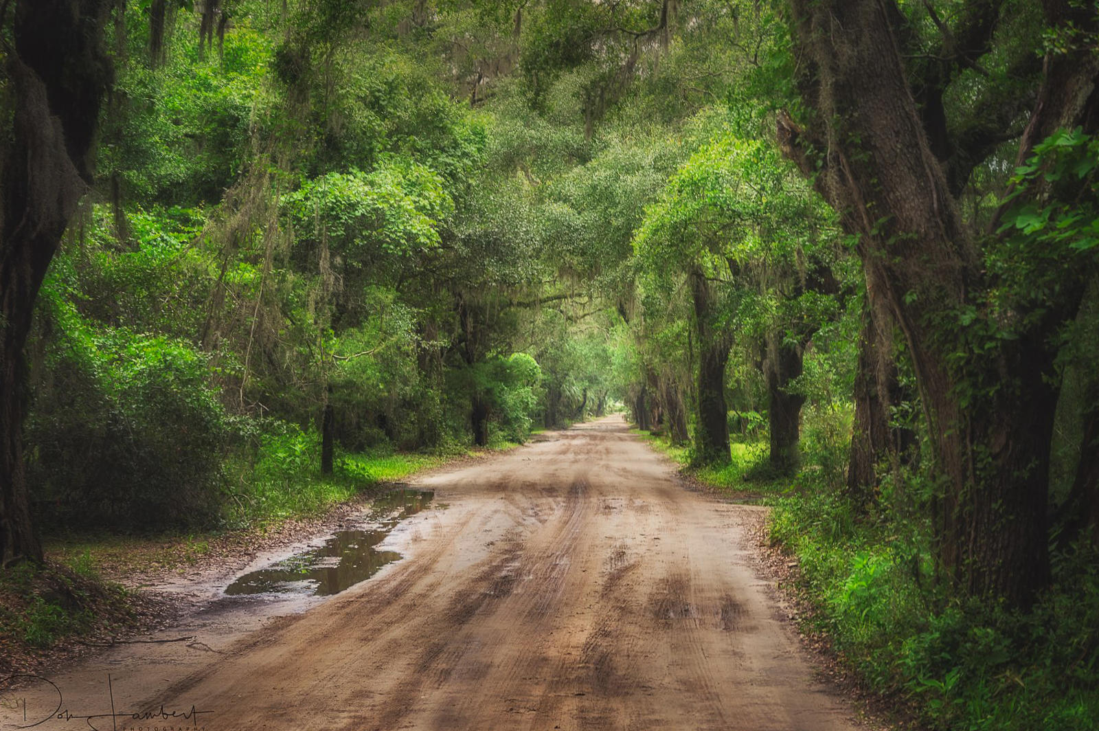 History, Marshlands & Live Oak Expedition 