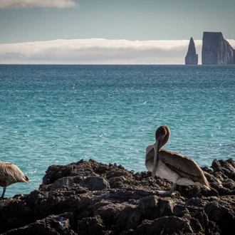 tourhub | Exodus Adventure Travels | Galapagos: In Darwin's Footsteps 