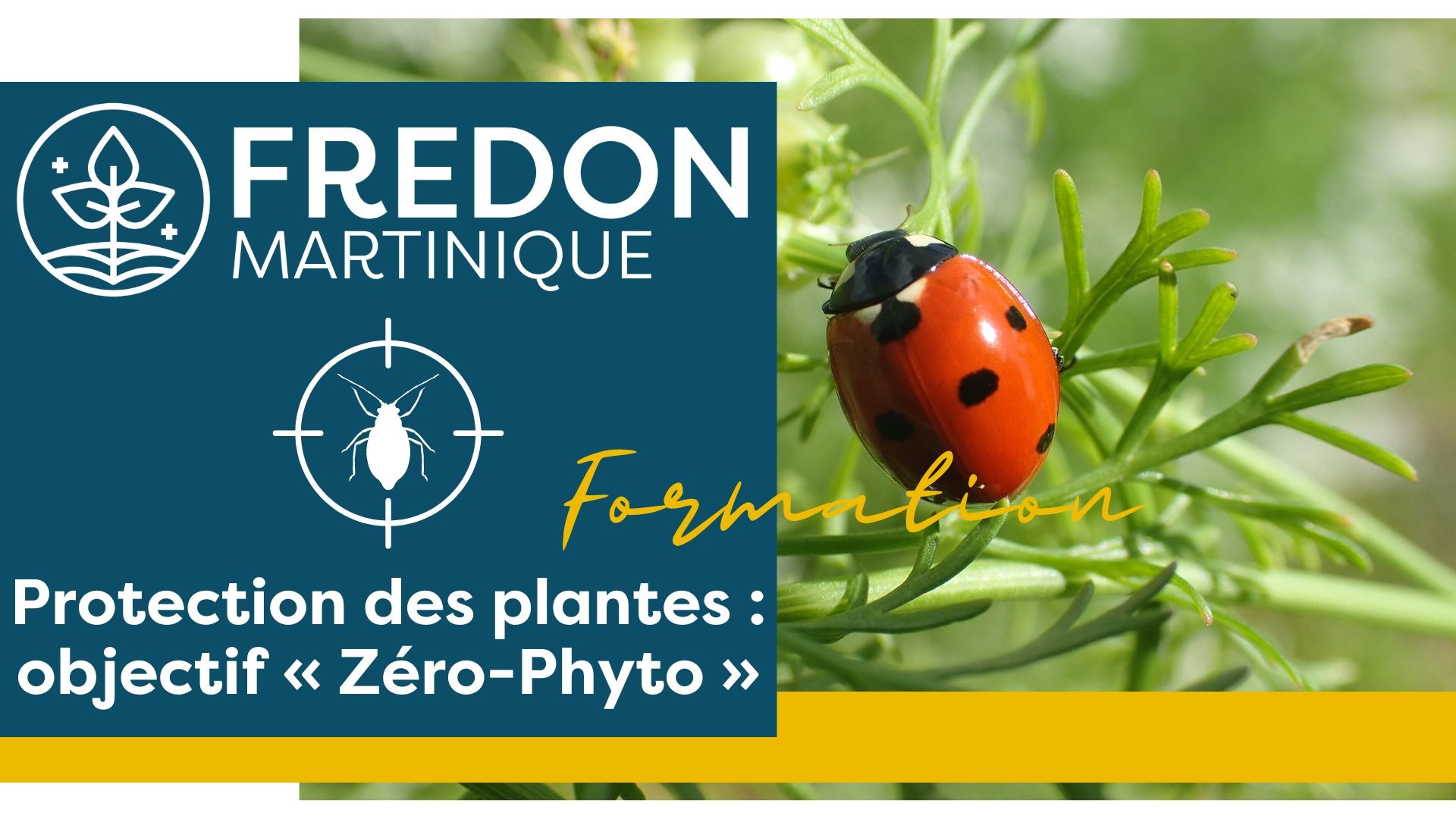 Représentation de la formation : Protection des plantes : objectif « Zéro-Phyto »