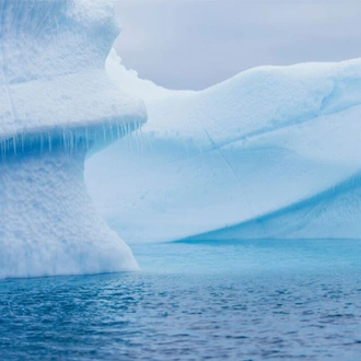 tourhub | Intrepid Travel | Best of Antarctica: Whale Journey (Ocean Endeavour)  