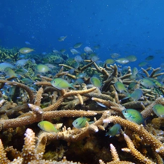 tourhub | Heritage Expeditions | Discover the Secrets of Melanesia 