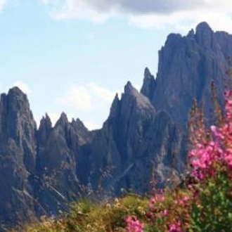 tourhub | Walkers' Britain | Walking in the Dolomites 