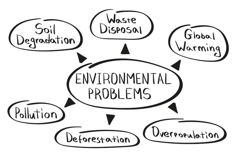 essays on environmental issues gradesfixer