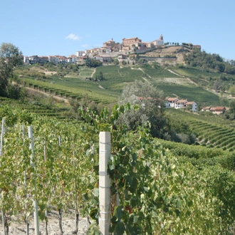 tourhub | Exodus Adventure Travels | Barolo Gastronomic Cycling 