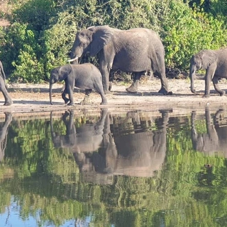 tourhub | Livingstone Lourie Safari | Chobe 2 nights 