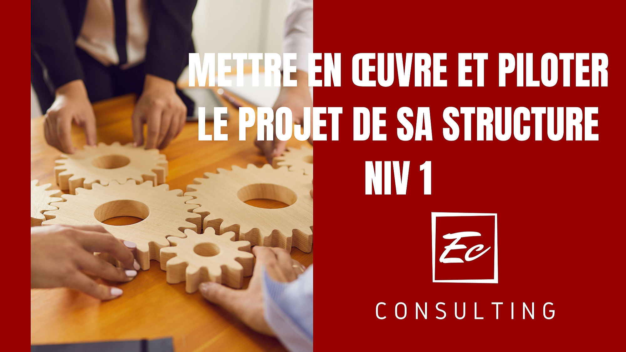 Représentation de la formation : PROGRAMME METTRE EN ŒUVRE ET PILOTER LE PROJET DE SA STRUCTURE NIVEAU 1