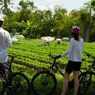 tourhub | Intrepid Travel | Cycle South East Asia 