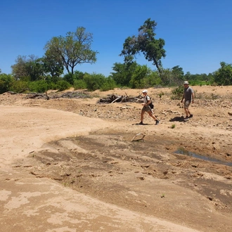 tourhub | Timeline Travel | 3-Day Kruger National Park Manyeleti Tour 