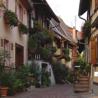 tourhub | UTracks | Alsace by Bike 