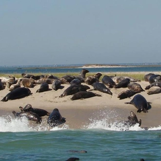 tourhub | Chameleon Safaris Namibia | 6 Day Skeleton Coast and Sossusvlei Experience 