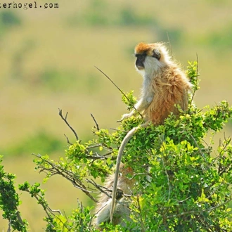 tourhub | Verdoro Safaris | Queen Elizabeth National Park 