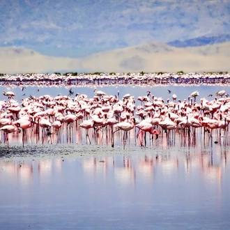 tourhub | Beach and Safari Holidays | Safari Expedition: Lake Natron to Ngorongoro Crater 