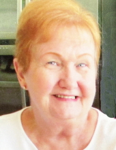 Dorothy Helen Iannantuono Profile Photo