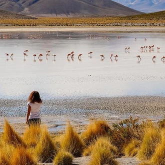 tourhub | Bamba Travel | Uyuni Salt Flats & Desert Adventure 5D/4N (La Paz to La Paz) 