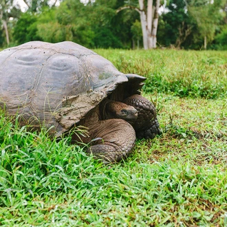 tourhub | Intrepid Travel | Pure Galapagos (Grand Daphne) 