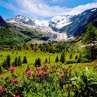 tourhub | The Natural Adventure | Tour du Mont Blanc Highlights in Comfort 