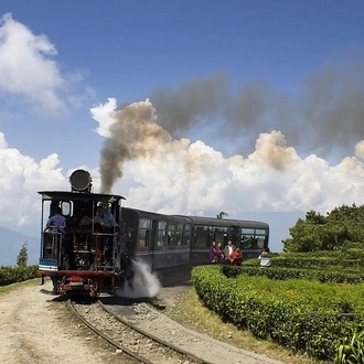 tourhub | Agora Voyages | Eastern Himalaya (Darjeeling, Pelling, Gangtok & Kalimpong) from Bagdogra 