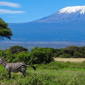 tourhub | Bamba Travel | Big Game Safari 8D/7N (Masai Mara, Lake Nakuru, Aberdare & Amboseli) 