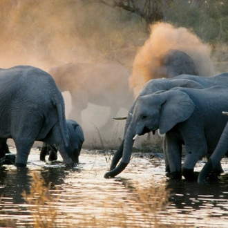 tourhub | Intrepid Travel | Botswana Highlights 