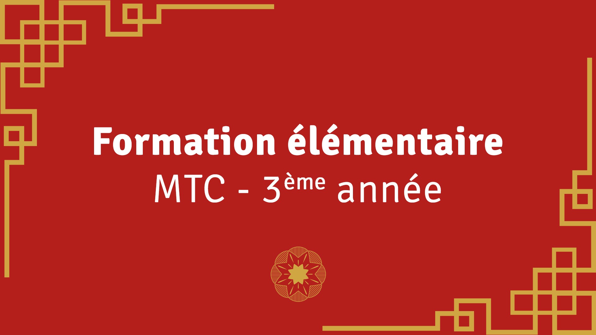 Représentation de la formation : Formation élémentaire en Médecine Traditionnelle Chinoise 3e année - 2024/2025