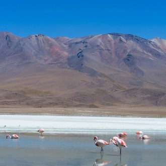 tourhub | Unu Raymi Tour Operator & Lodges | Best of Bolivia: Santa Cruz to Uyuni 