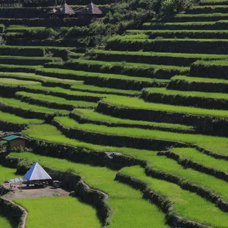 tourhub | Undiscovered Destinations | Philippines - Emerald Terraces of the Cordillera 