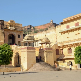 tourhub | Panda Experiences | Golden Triangle Luxury Tour with Ranthambore 