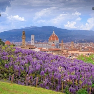 tourhub | Travel Editions | Great Gardens of Tuscany Tour 