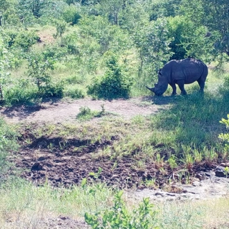 tourhub | Livingstone Lourie Safari | Victoria Falls, Livingstone & Chobe 