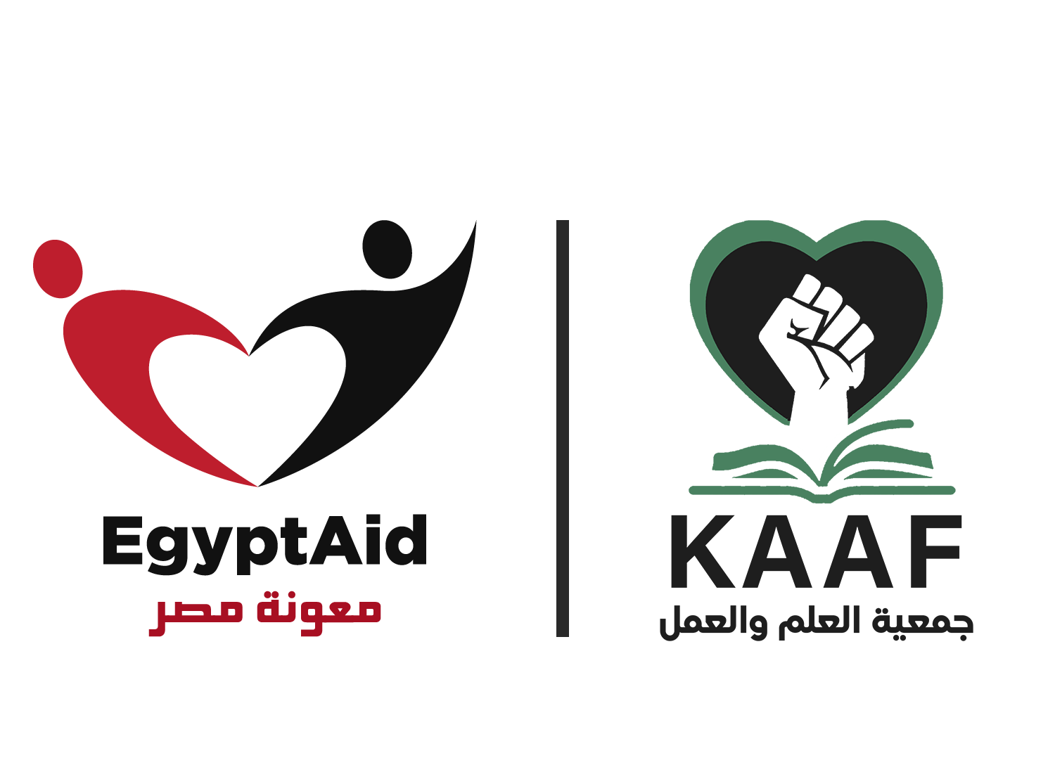 EgyptAid | KAAF logo