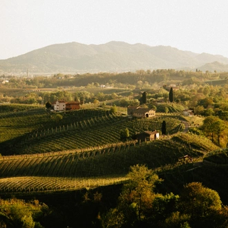 tourhub | Exodus Adventure Travels | Walk The Prosecco Hills & Hidden Venice 