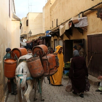 tourhub | Morocco Cultural Trips | 9-day Cultural Tour starting from Casablanca 