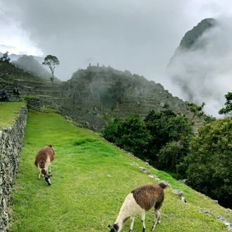 tourhub | Unu Raymi Tour Operator & Lodges | Short Inca Trail 