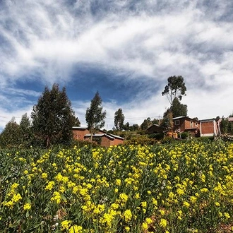 tourhub | Bamba Travel | Lake Titicaca & Luquina Homestay 2D/1N 