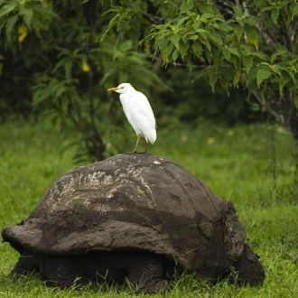 tourhub | Encounters Travel | Best of the Galapagos 