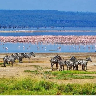 tourhub | Johnbow Tours and Travel | 4 Days Safari Masai Mara & Lake Nakuru National Park 