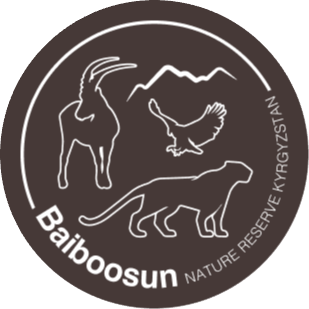 Baiboosun logo