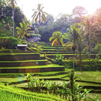 tourhub | Destination Services Indonesia | Unforgettable Bali, Private Tour 