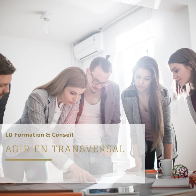 Représentation de la formation : Agir en transversal