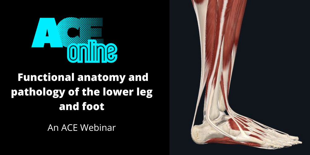 functional-anatomy-and-pathology-of-the-lower-leg-and-foot-hosted