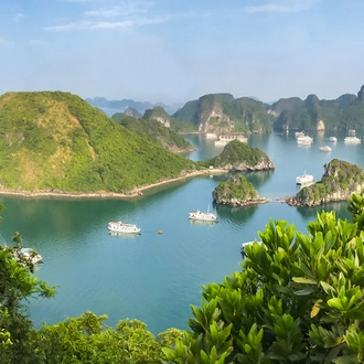 tourhub | Intrepid Travel | Vietnam Family Holiday Comfort 