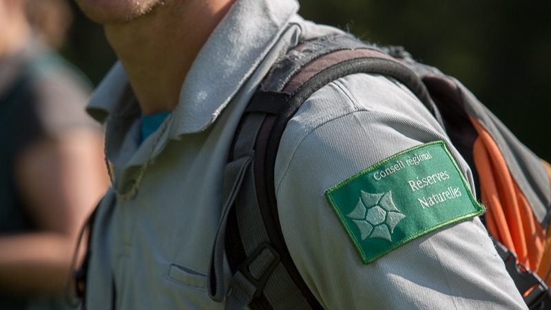 Représentation de la formation : La pratique du code forestier en sécurité par les agents du conseil départemental 