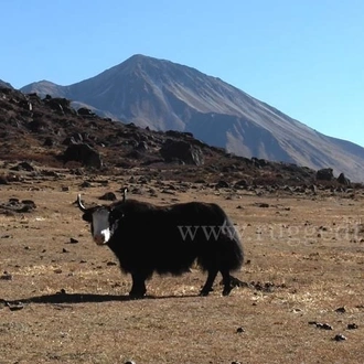 tourhub | Adventure Himalayan Travels & Treks | Langtang Valley Trek - 10 Days 