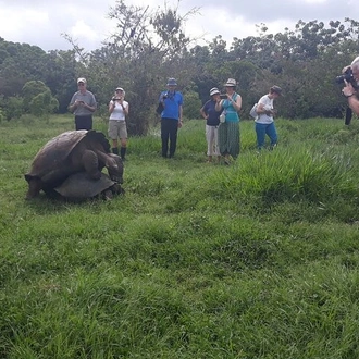 tourhub | BM Tours | Galapagos- Santa Cruz Explorer 4 days  