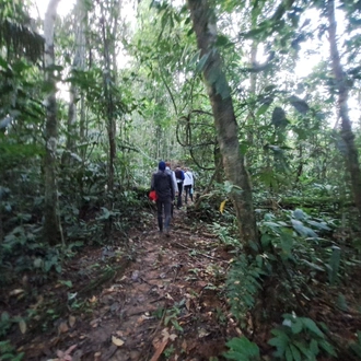 tourhub | Ecuador Galapagos Travels | 12 Days Ecuador’s Greatest Hits: A Bucket-List Adventure 