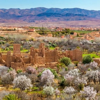 tourhub | Morocco Cultural Trips | 13-Day Tour: Discover the Best of Morocco 