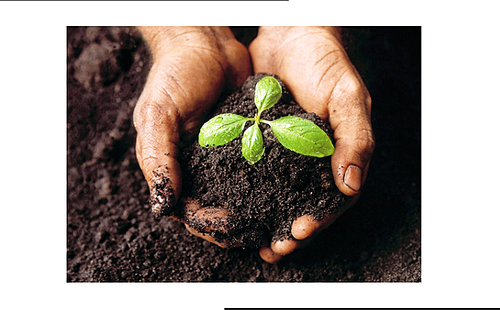 Représentation de la formation : MÉTIERS - FERTILITÉ DU SOL ET OPTIMISATION DES PRATIQUES AGRICOLES